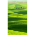 高清风景2106