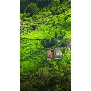高清风景2109