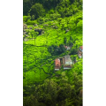 高清风景2109
