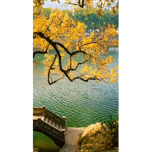 高清风景2117