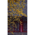 高清风景2118