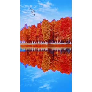 高清风景2129