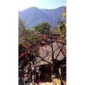 高清风景2144
