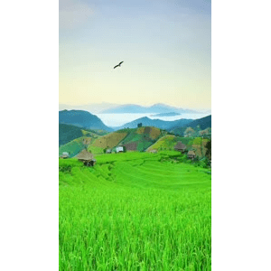 高清风景2159