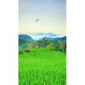 高清风景2159