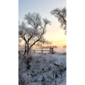 高清风景2162