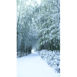 高清风景2176