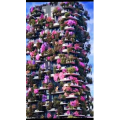 高清风景2191