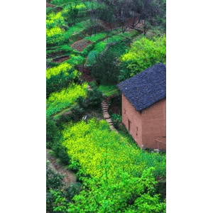 高清风景2196