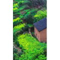 高清风景2196