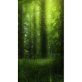 高清风景2238