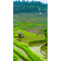 高清风景2252