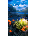 高清风景2254