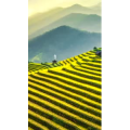 高清风景2256