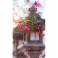 高清风景2258