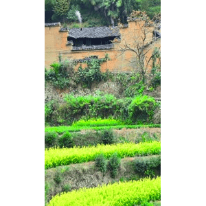 高清风景2259
