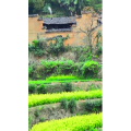 高清风景2259