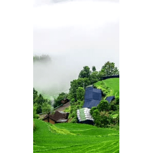 高清风景2262