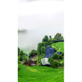 高清风景2262