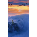 高清风景2272