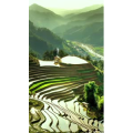 高清风景2276