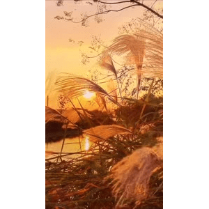 高清风景2278