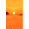 高清风景2282