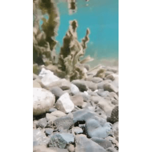 高清风景2294
