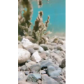 高清风景2294