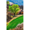 高清风景2320
