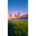 高清风景2333