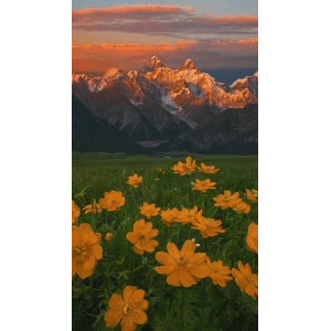 高清风景2334