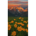 高清风景2334