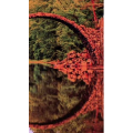 高清风景2347