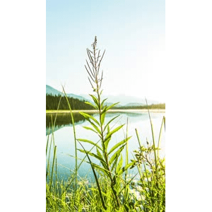 高清风景2348
