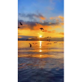 高清风景2350