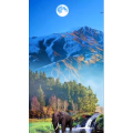 高清风景2354
