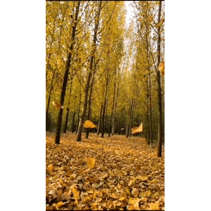 高清风景2357