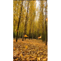 高清风景2357