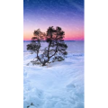 高清风景2369