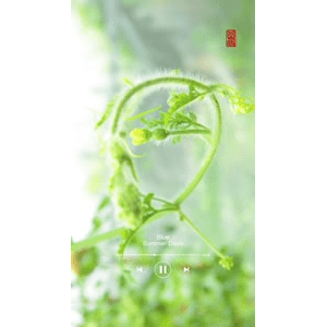 高清风景2379