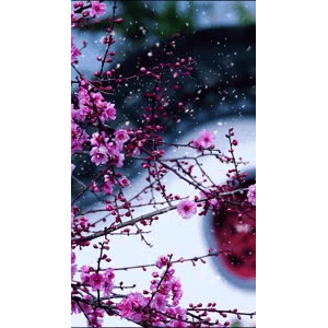 高清风景2388