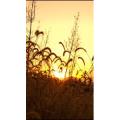 高清风景2392