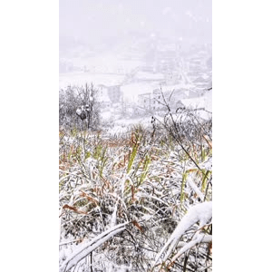 高清风景2394