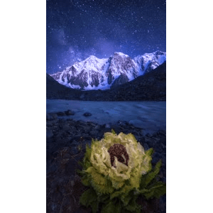 高清风景2398