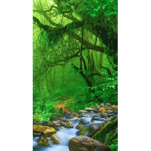 高清风景2400