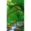 高清风景2400