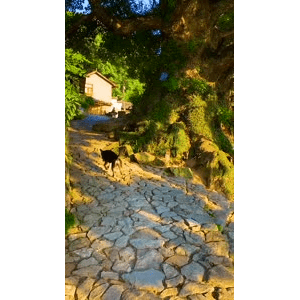 高清风景2402
