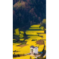 高清风景2404