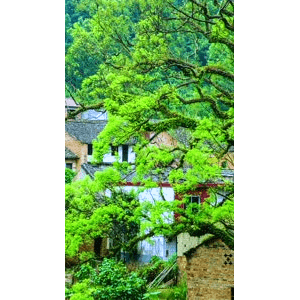 高清风景2406